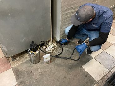 Lubbock Pest Control foaming drains