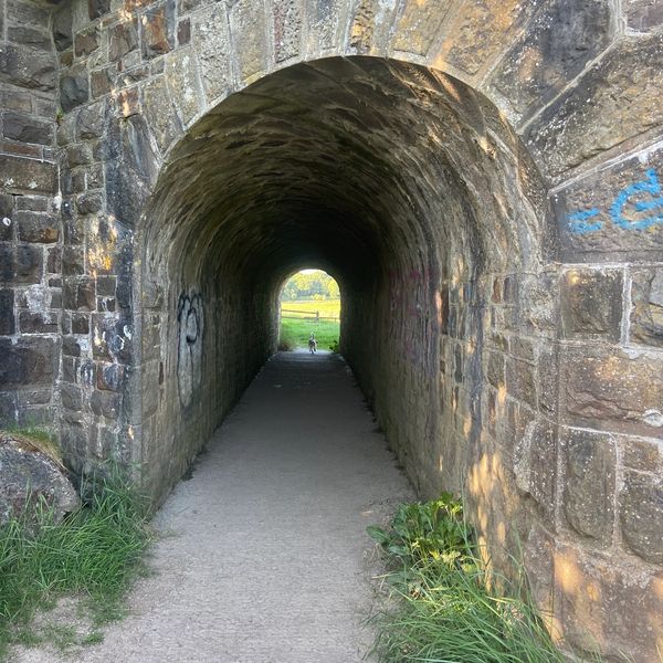 Stone tunnel with a small dog at the end.