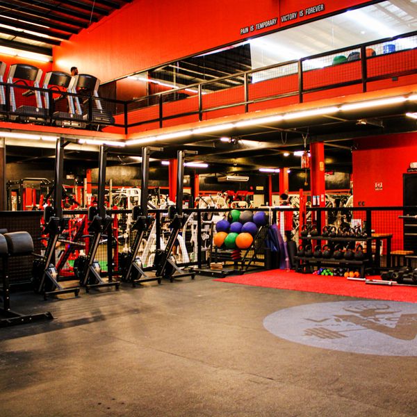 Premier Fitness Facility - Victory Gym and Athletic Club