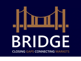 Bridge International Trade