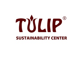 Tulip Consultants