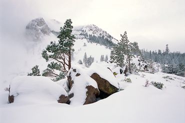 Mammoth Zen, Mammoth Lakes 