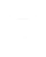Guy Vincent Music