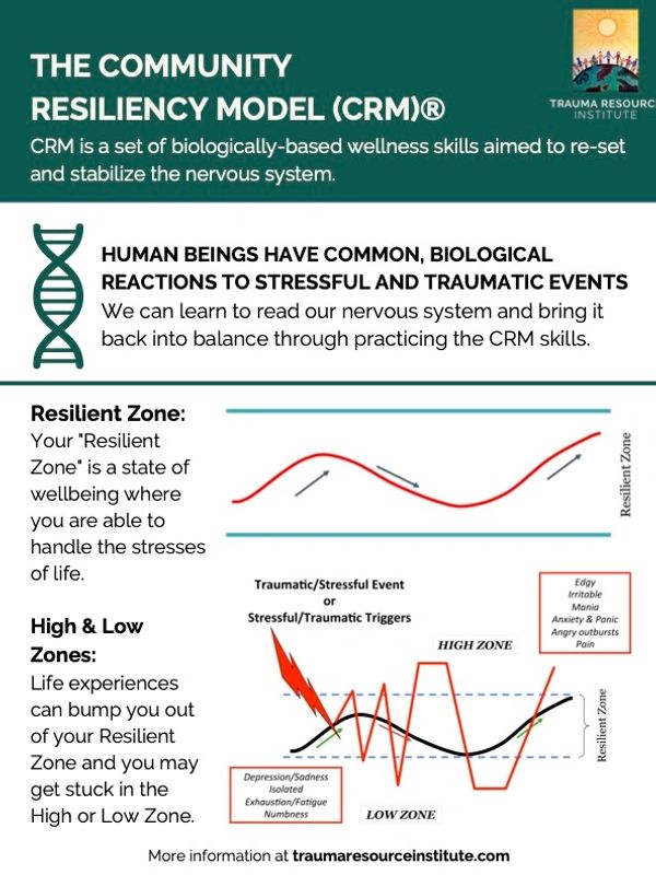 Resilient Zone - Window of Tolerance Model 