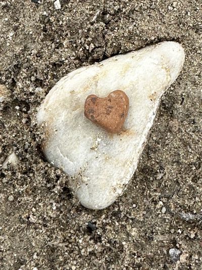 Small heart-shaped stone on a larger white stone.