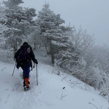 Hiker walking in snowy forest with trekking poles.