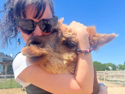 Woman hugging a fluffy alpaca outdoors on a sunny day.