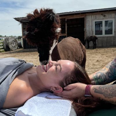 A woman smiling while an alpaca nuzzles her face during an outdoor massage.