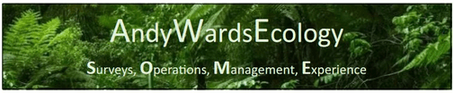 AndyWardsEcology
