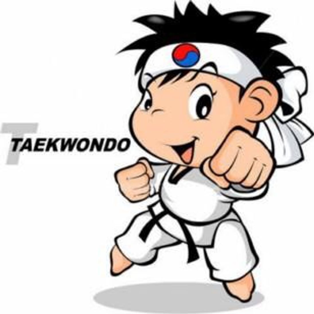 Chesapeake Tae Kwon Do