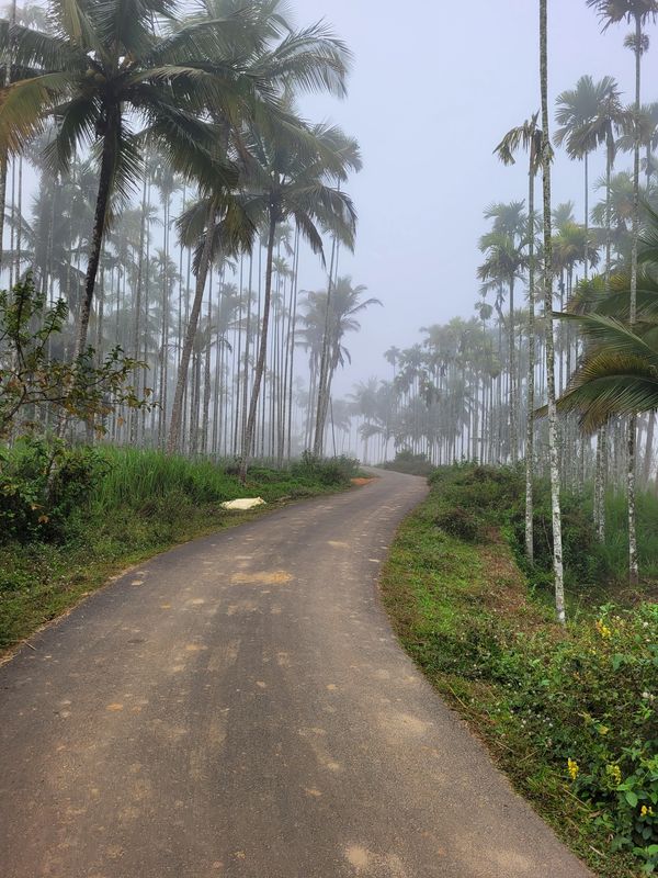 Misty countryside roads for morning walk or cycling