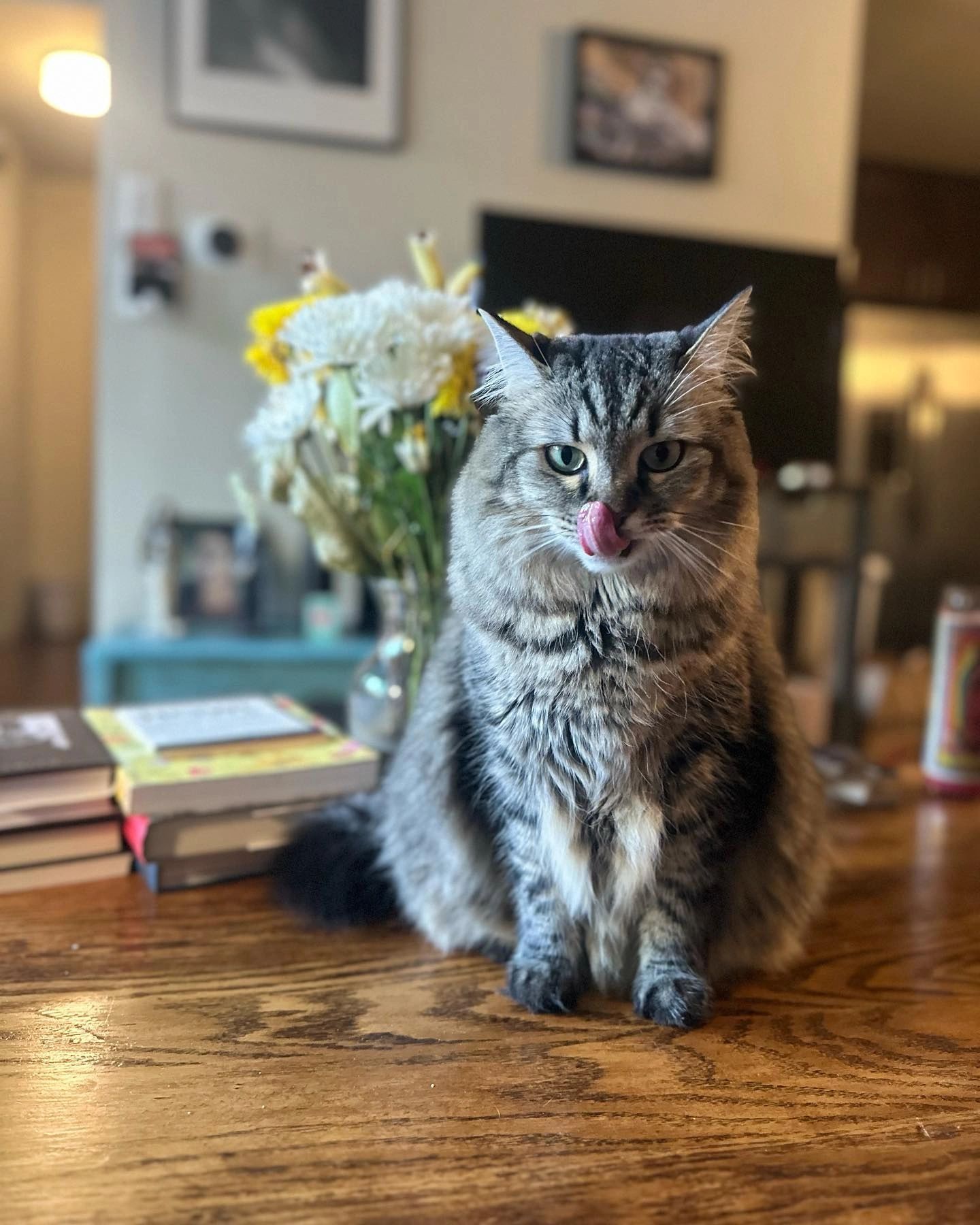 Insured & Bonded Pet Sitter The Pawfect Company