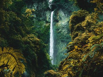 Tall waterfall cascading through lush green forest.