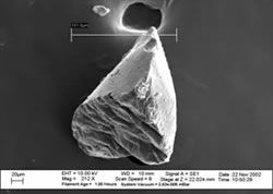 Scanning Electron Microscopy