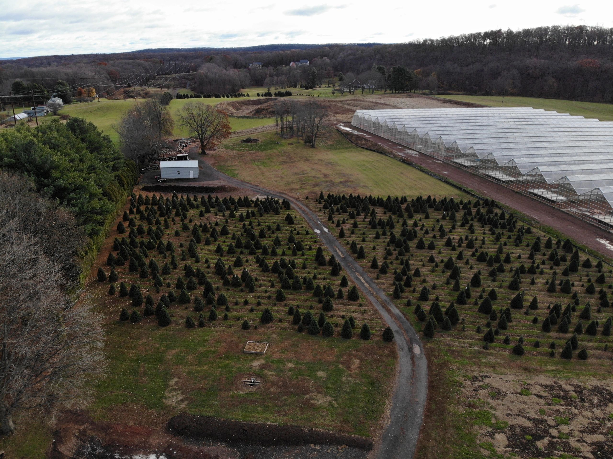 Arbor Farms