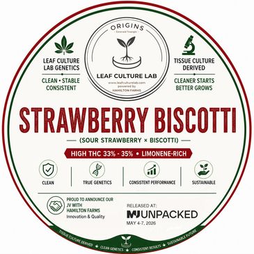 Strawberry Biscotti cannabis strain label highlighting genetics, THC content, and sustainability.