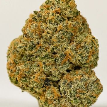Close-up of a dense cannabis bud with orange hairs and crystal trichomes.