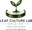 LEAF CULTURE LAB