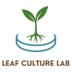 LEAF CULTURE LAB