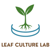 LEAF CULTURE LAB