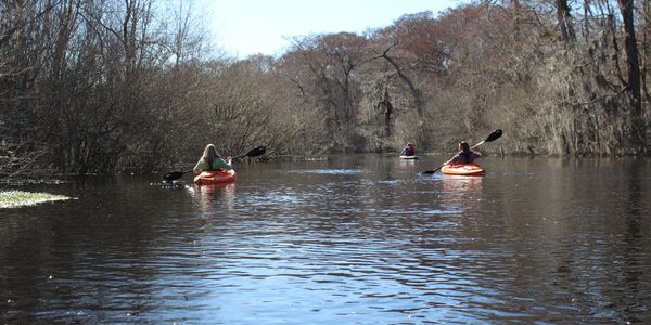 Paddling the straight away Ebenezer Creek 