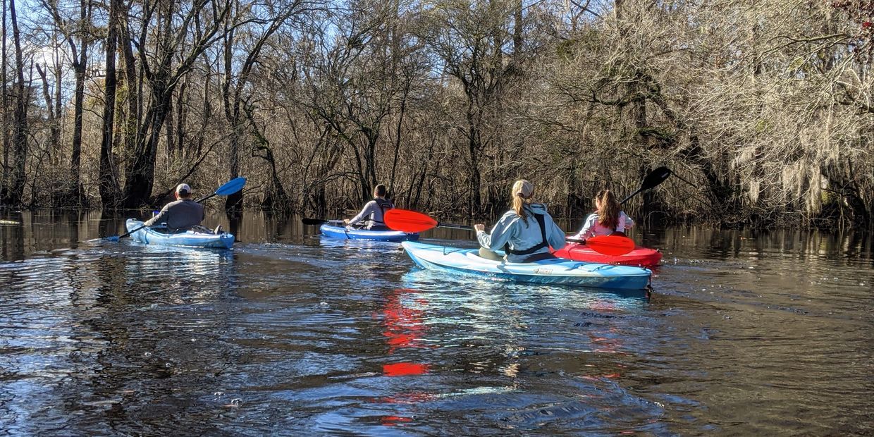 Fun group paddling Ebenezer Creek