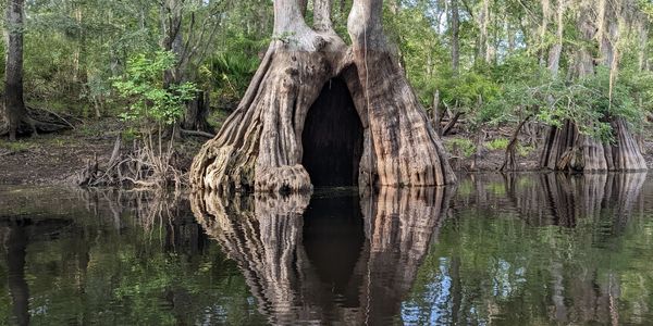 A secrets passage to the fairy land