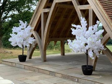 Wedding white blossom trees. 1.8 meter blossom tree
