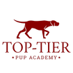 Top-Tier Pup academy
