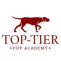 Top-Tier Pup academy
