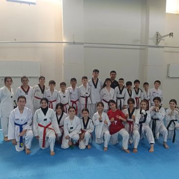 Bir grup taekwondo öğrencisi antrenörde poz veriyor.