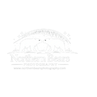 Northern Bears Photography