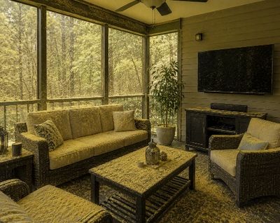 Pine Pollen on Screen Porch