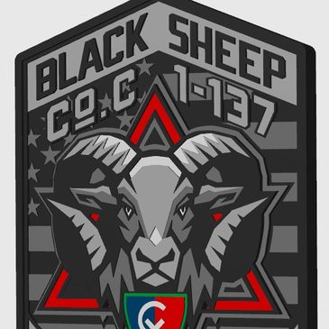  C CO 1-137th Aviation Regiment Air Assault Black Sheeps