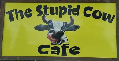 Stupid Cow of Hayden