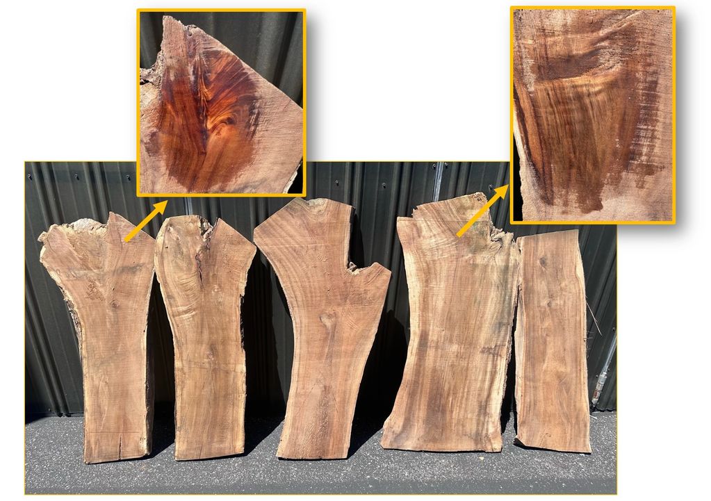 Kauai Koa. Stunning figure and color!