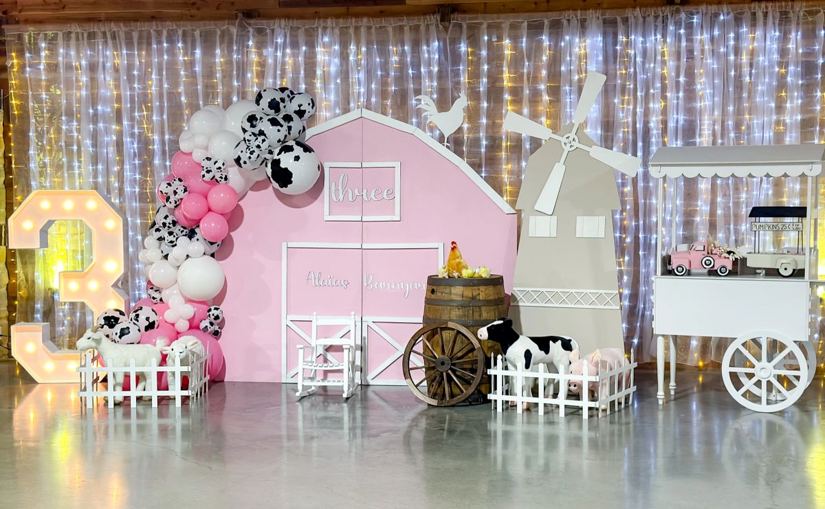 Pink Barn Backdrop Party Rental Package
