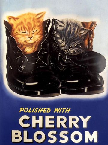 12 Cherry Blossom Leather Shoe Polish Wipes – Restore & Shine – 211012-762922