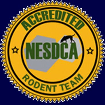 Accreditation of Canine Rodent Team