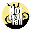 Not Afraid to Fall
New Book by: Brian Hall