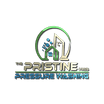 The Pristine Pros