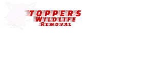 Toppers Wildlife Removal