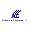 Amin Consulting Group