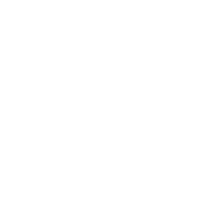 Amin Consulting Group