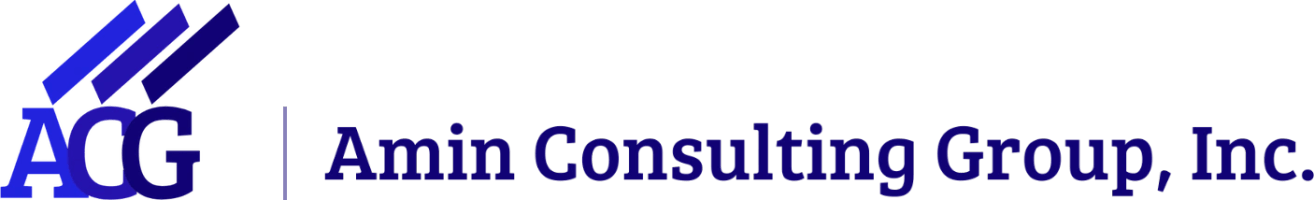 Amin Consulting Group