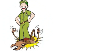 Termite Barriers ( Physical, Termiticide, Reticulation). 