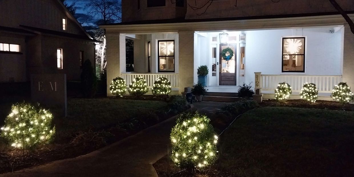 Bushes professionally lit up with mini lights in downtown Roanoke.