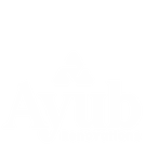AYUB RENOVATIONS