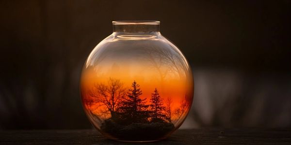 Sunset trees reflected inside a round glass vase creating a warm glow.