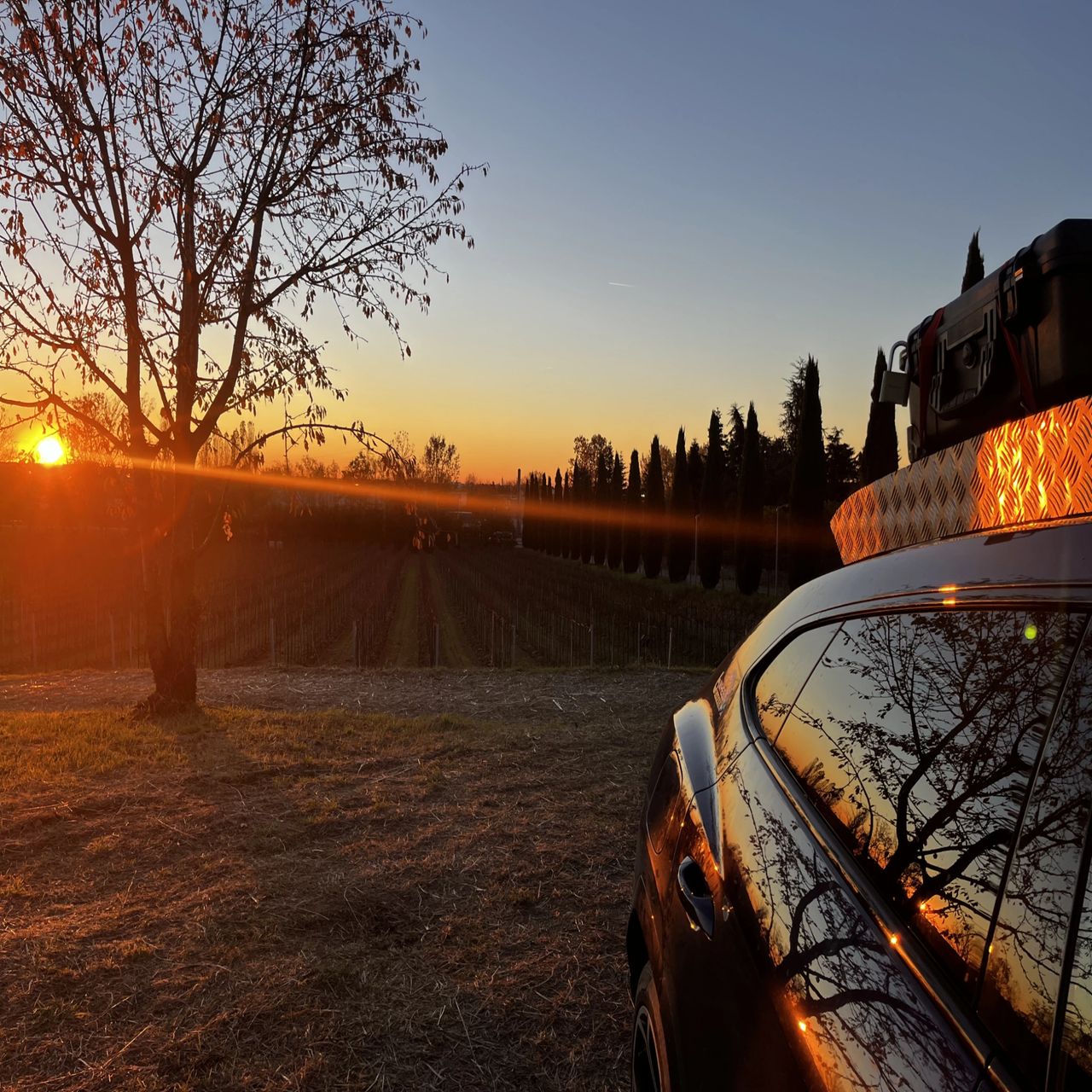 A beautiful Italian sunrise in a vineyard, glaring of the side of my Lamborghini Urus camperghini